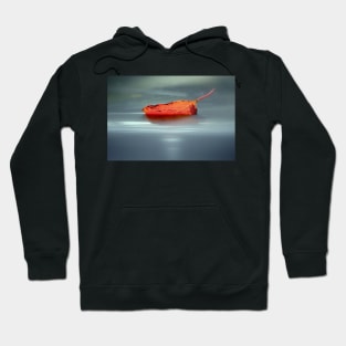 sailing away... Hoodie